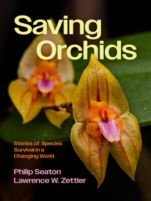 cover image of Saving Orchids